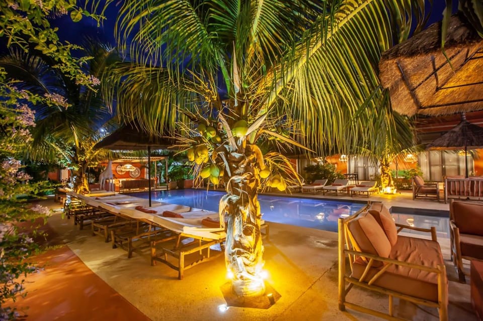 Patio, Night, Natural landscape, Garden, Garden view, Pool view, Swimming pool, sunbed