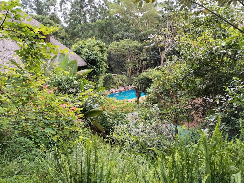 Nature Lovers Paradise Apartment in KwaZulu-Natal