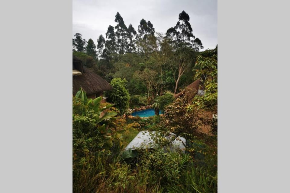 Nature Lovers Paradise Apartment in KwaZulu-Natal