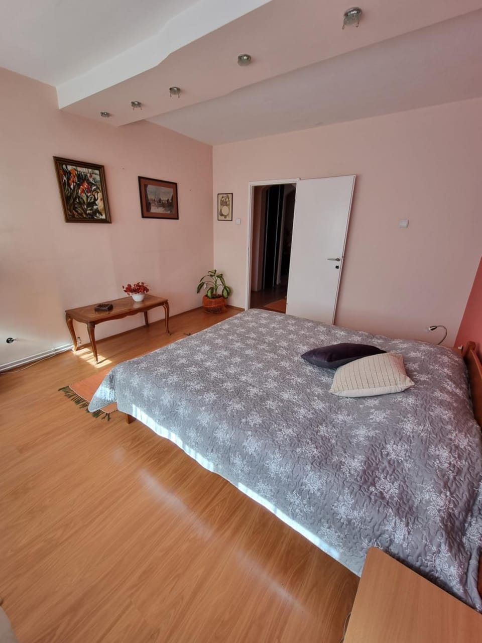 Large, Spacious Apartment Voždovac Apartment in Belgrade