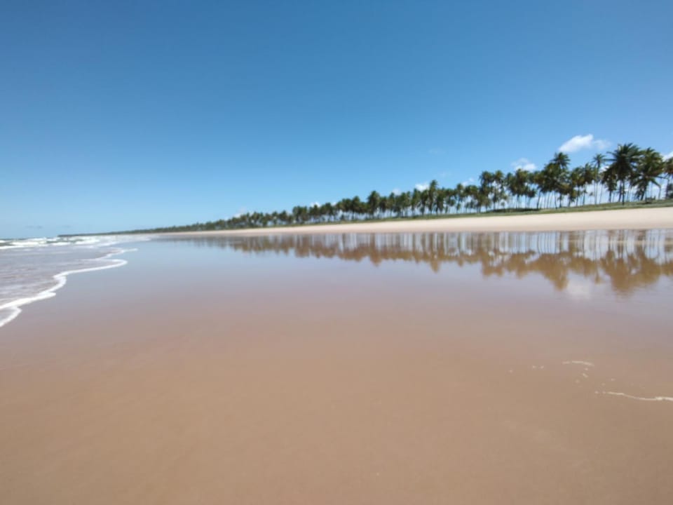 Natural landscape