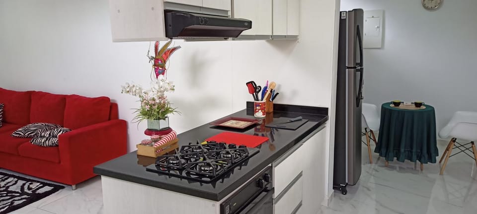 Kitchen or kitchenette, kitchen