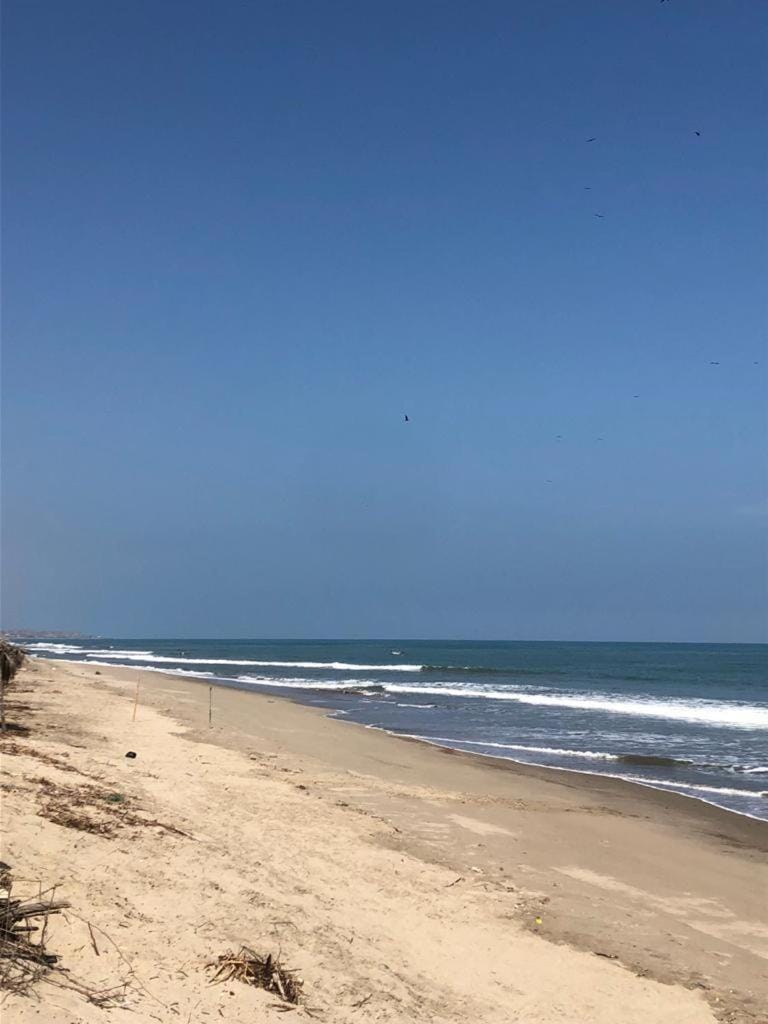 Sea view