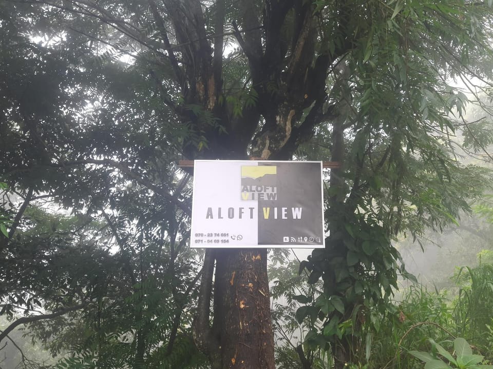 Logo/Certificate/Sign