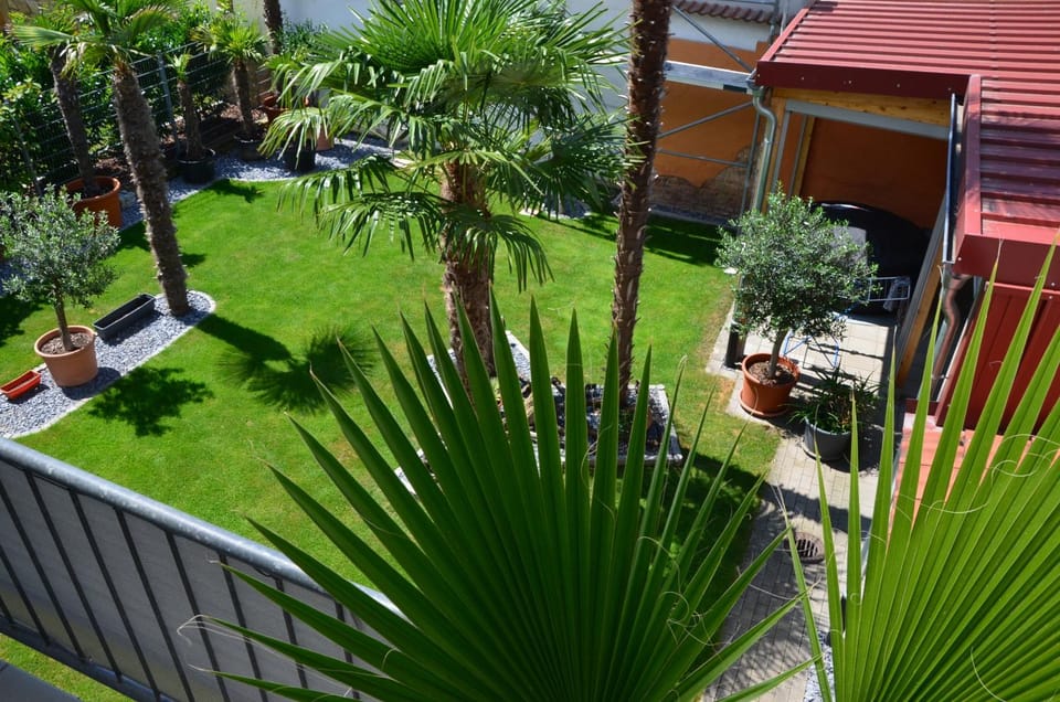 Garden view