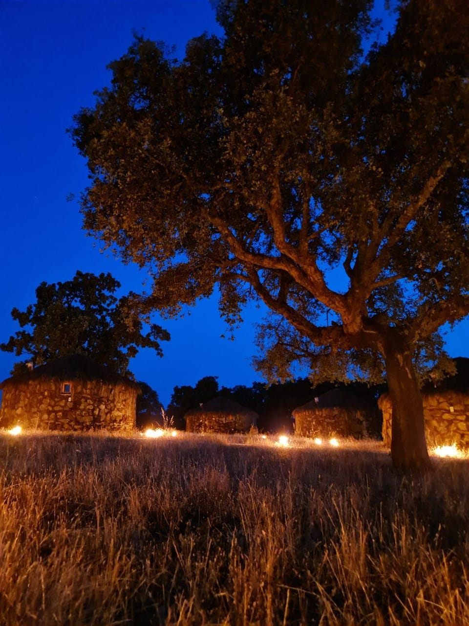 Night, Natural landscape, Garden