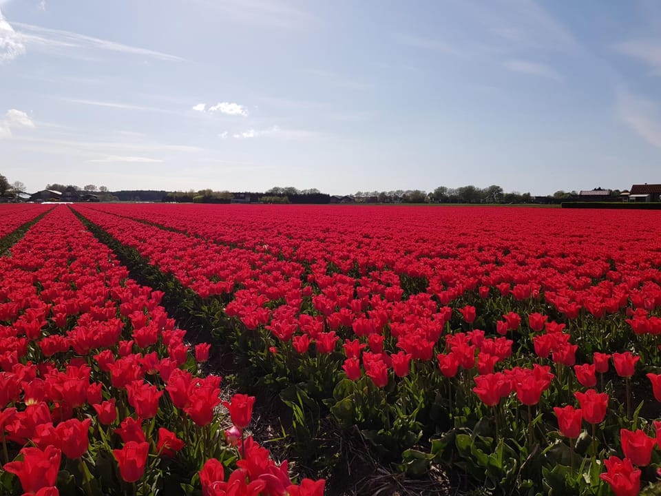 Country house between Egmond aan Zee & Amsterdam House in North Holland (province)