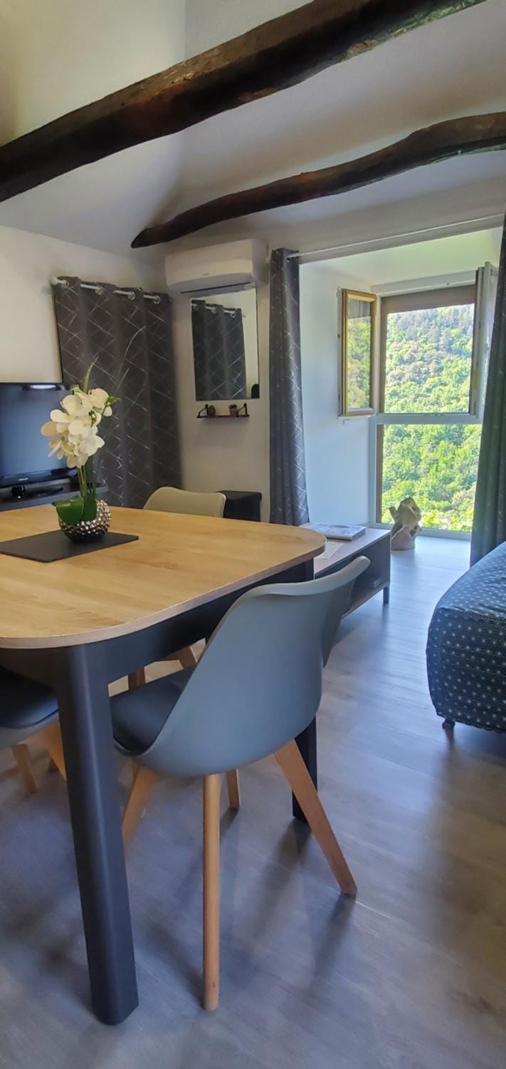 Communal lounge/ TV room, TV and multimedia, Living room, Seating area, Dining area, Garden view, air conditioner