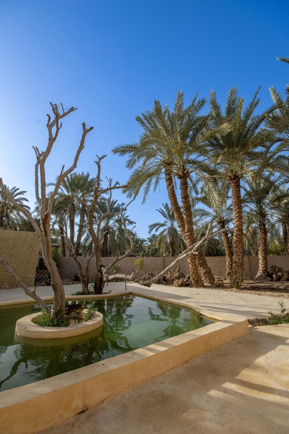 Day, Garden, Swimming pool