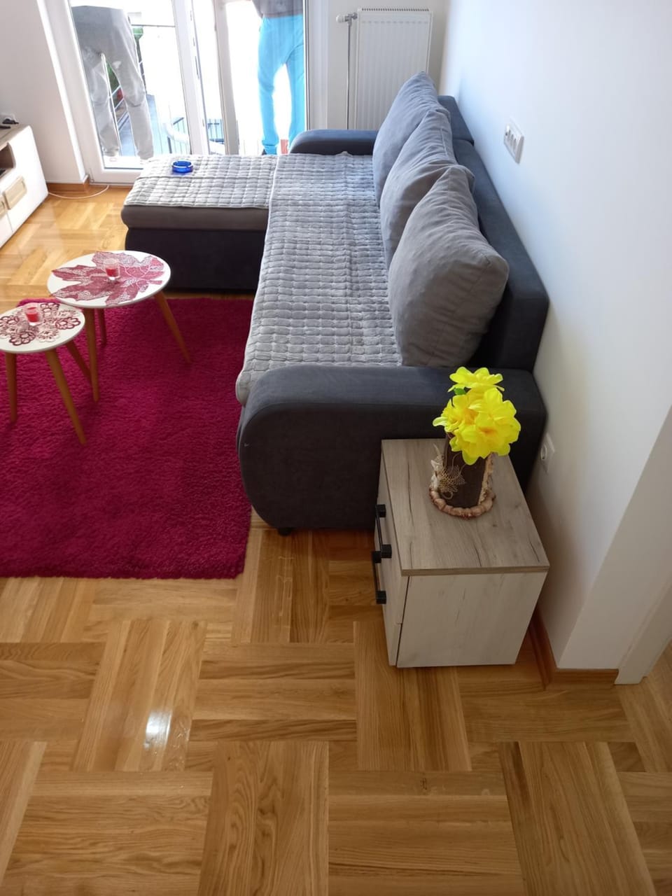 Leonora & Free Parking Apartment in Serbia