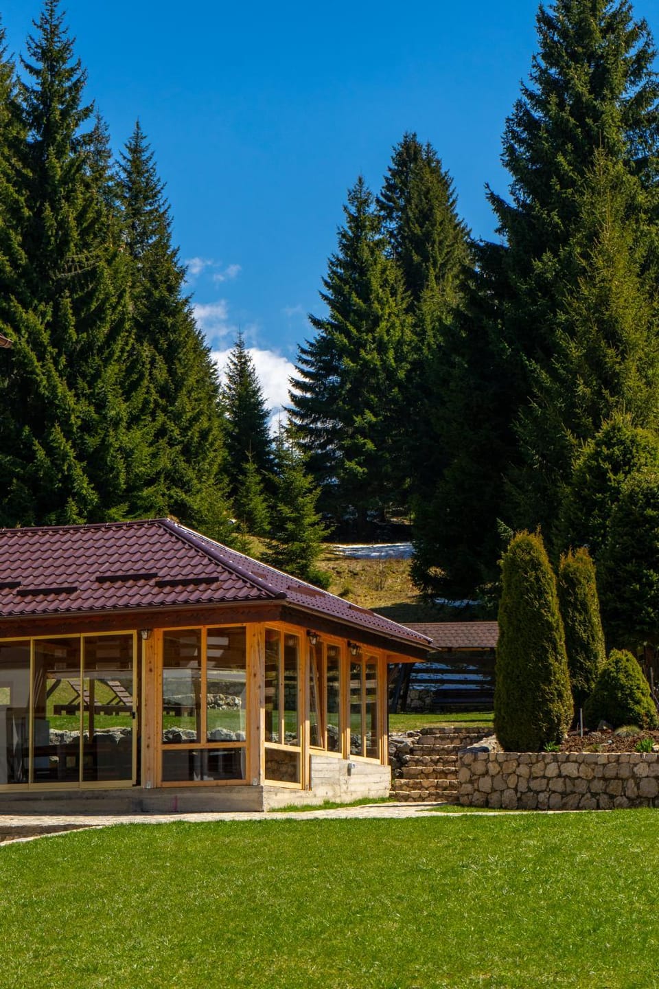 Pensiunea Poienita Ursului Bed and Breakfast in Brașov County