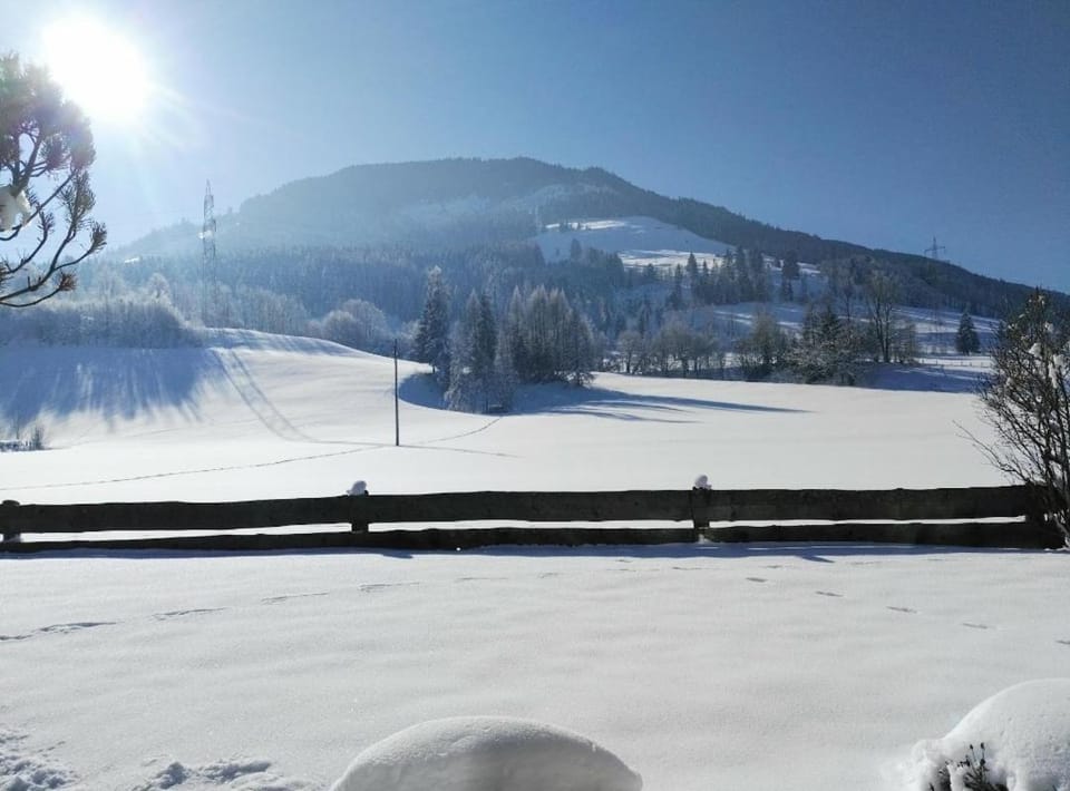 Winter, Garden