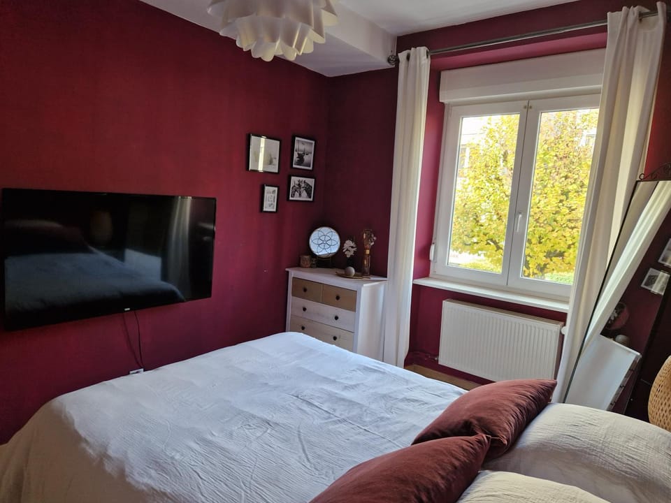 Cosy Appartement Complet centre-ville Montbéliard Apartment in Montbéliard