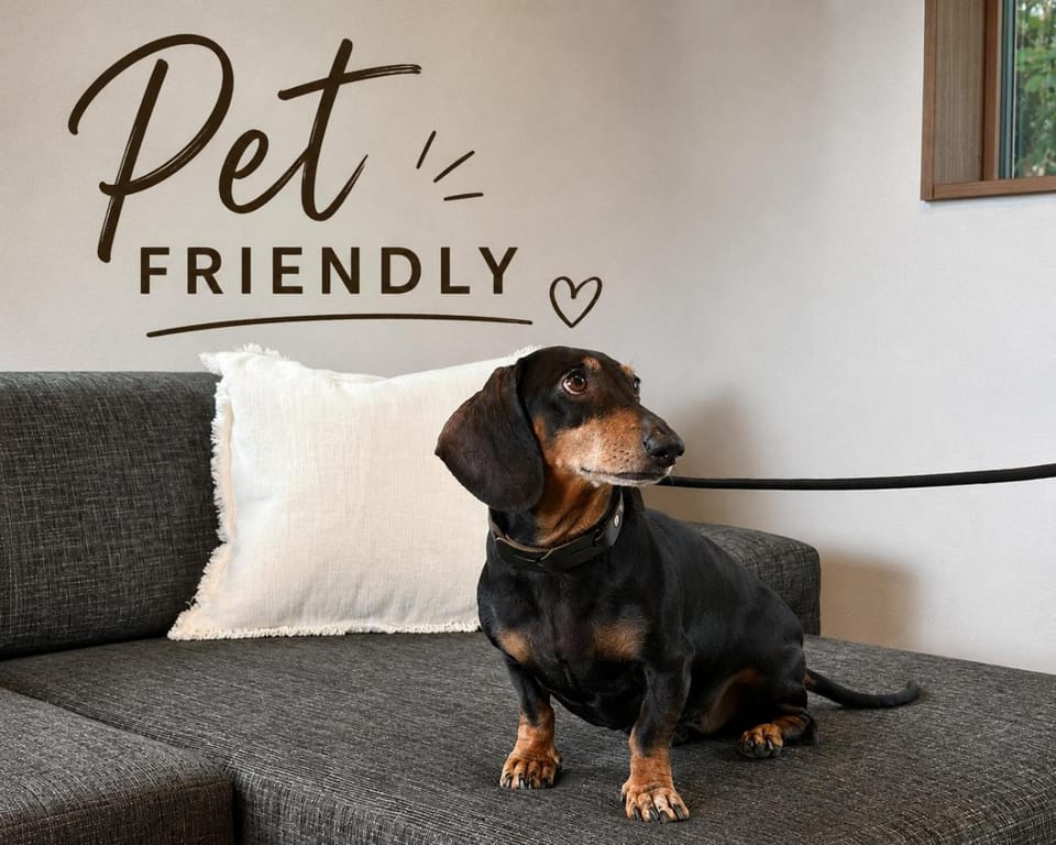 Pets, pet friendly, pet friendly