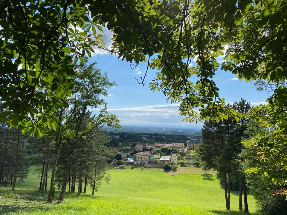 Garden, View (from property/room), Garden view