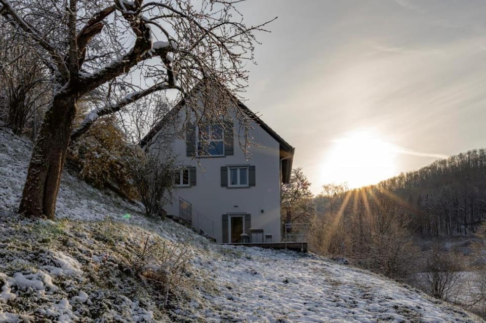Winter