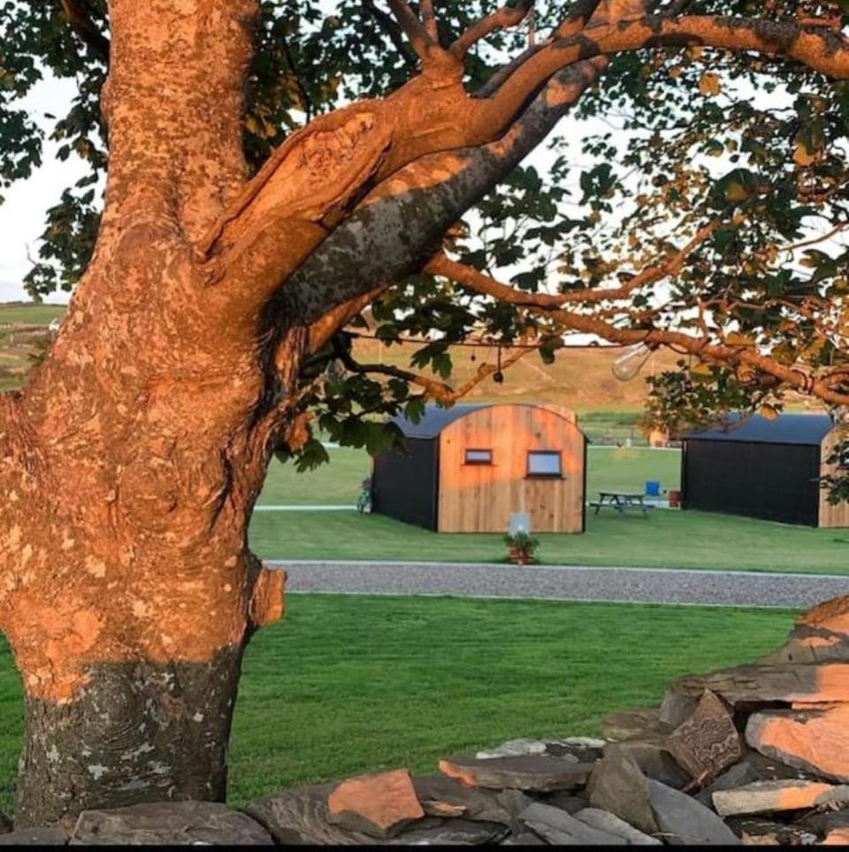 Castledarcy Glamping Apartment in County Clare