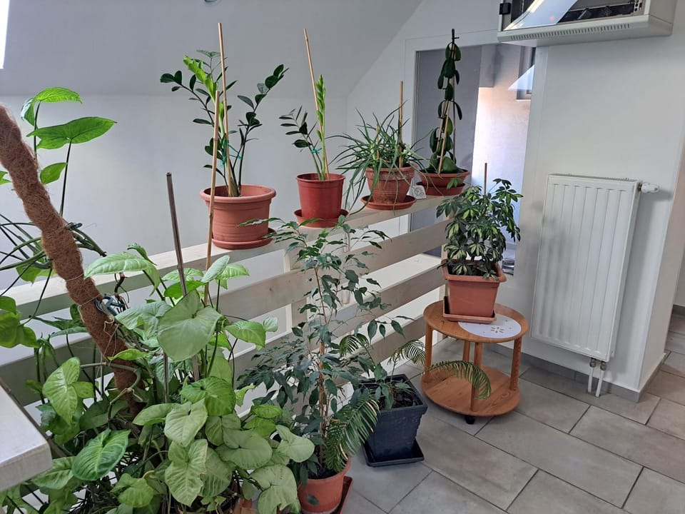 Apartmány Amália Vacation rental in Slovakia