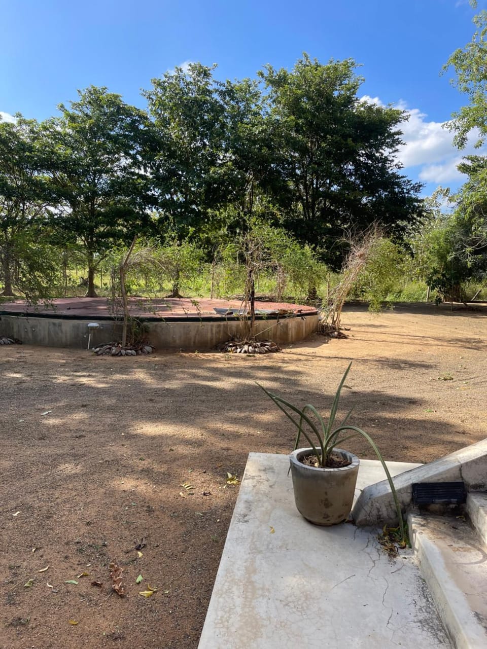 Garden view