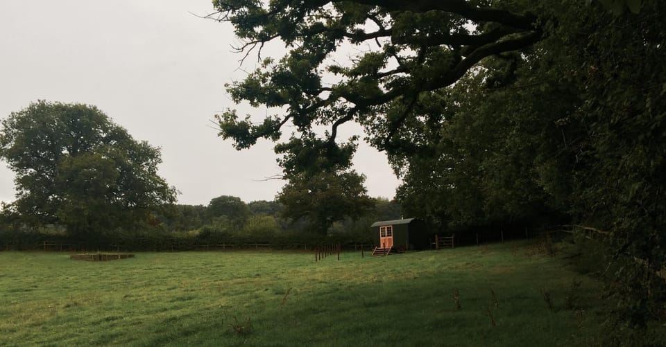 Natural landscape