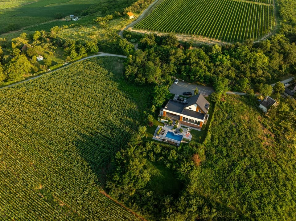 Riverside pool villa-Sremski Karlovci Villa in Vojvodina