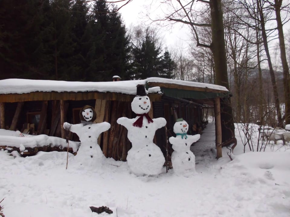 Property building, Winter