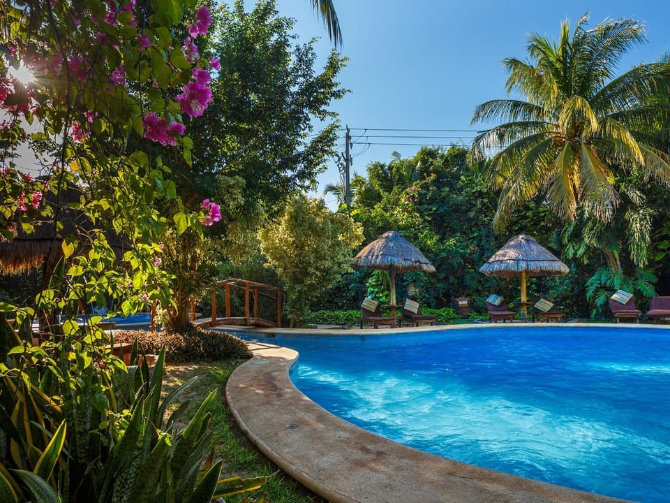 Natural landscape, Garden, Swimming pool