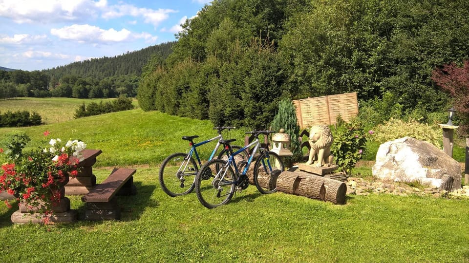 Natural landscape, Garden, Cycling, Garden view, Mountain view, River view, Street view