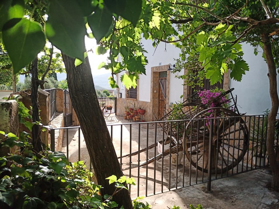 Facade/entrance, Garden