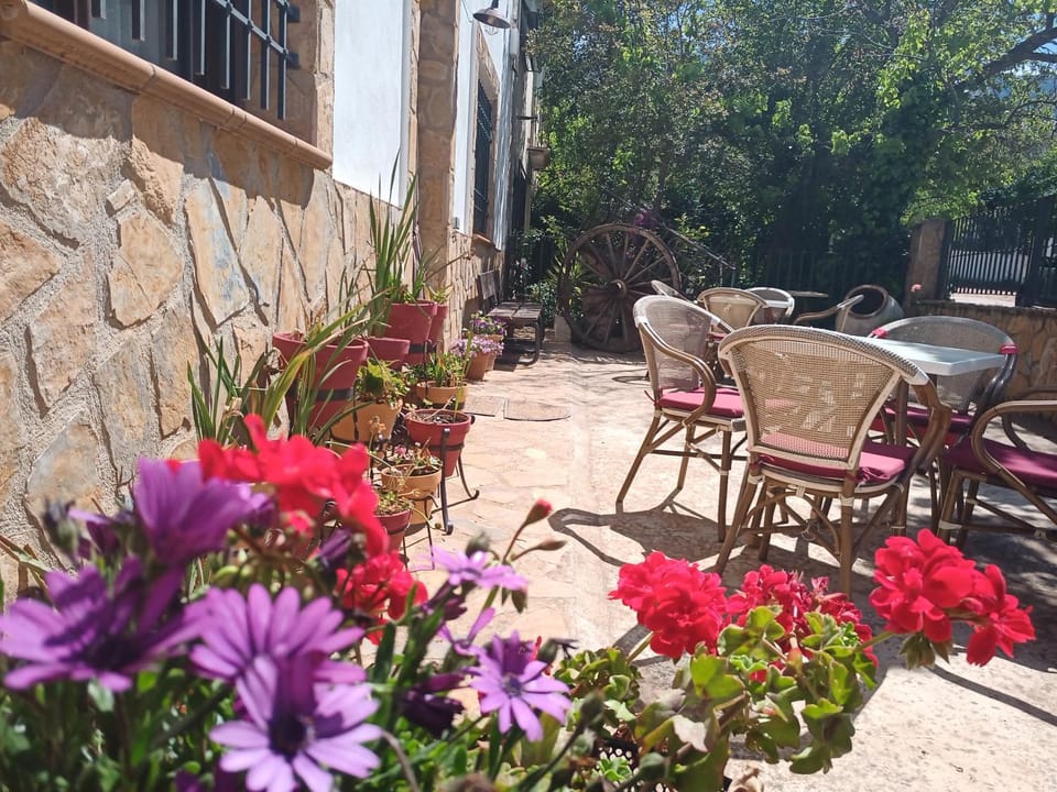 Garden, Garden, Balcony/Terrace