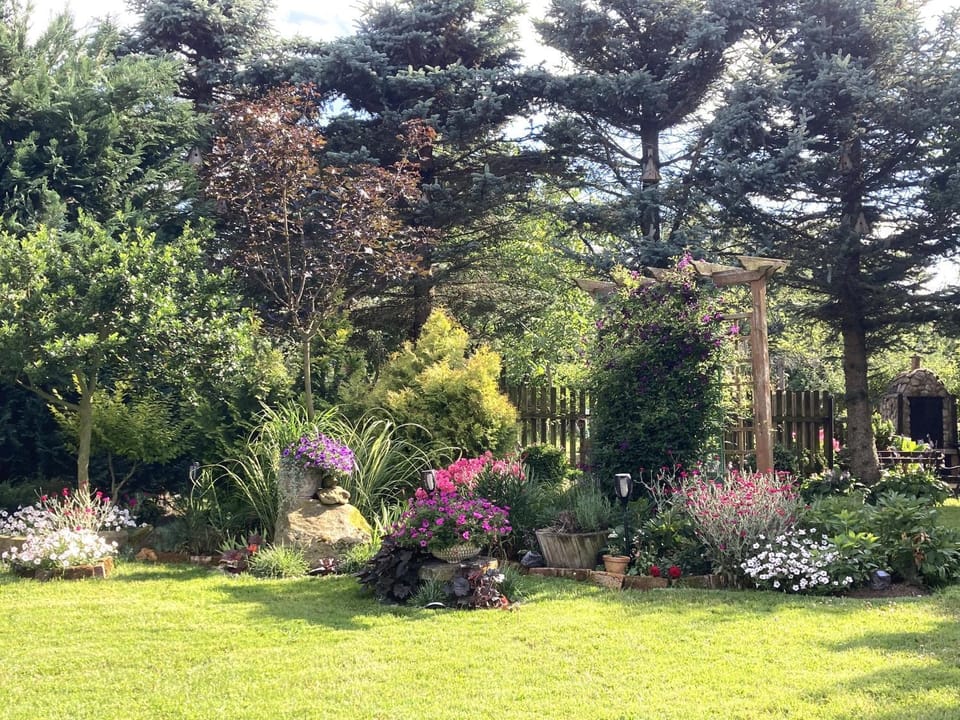Natural landscape, Garden, Garden view