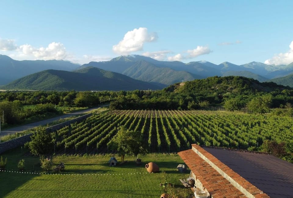 Property building, Nearby landmark, Spring, Day, Natural landscape, Garden view, Garden view, Mountain view