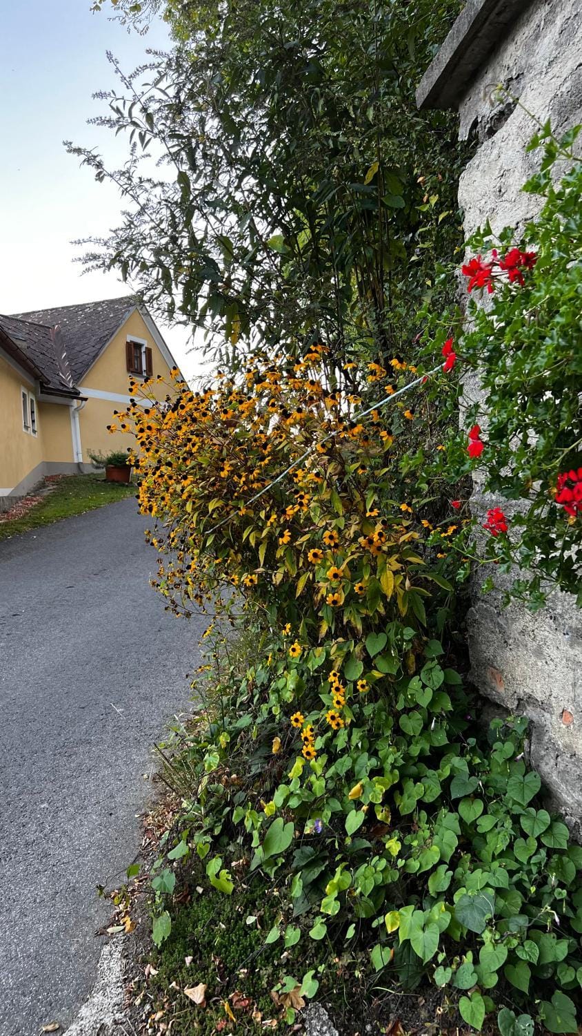 Winzerhäuschen Kern Apartment in Styria