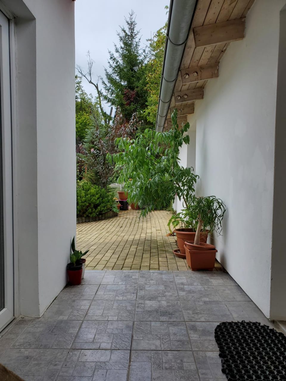 Apartman Starý Liskovec Apartment in Brno