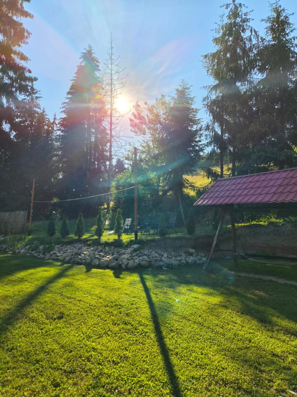 CASA BINU Bed and Breakfast in Cluj County