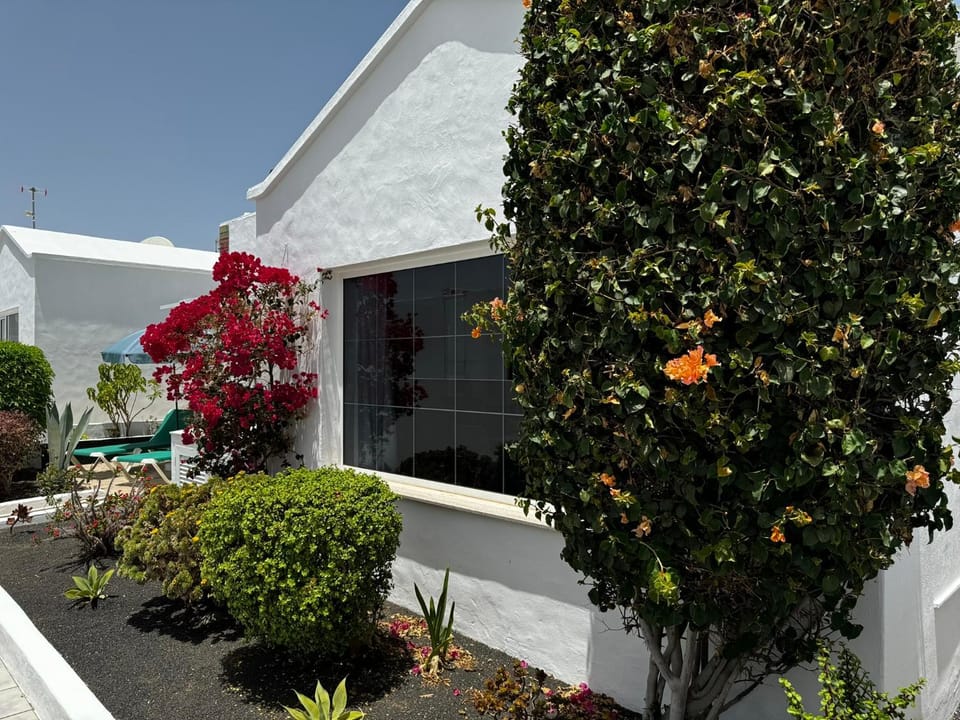 Property building, Garden