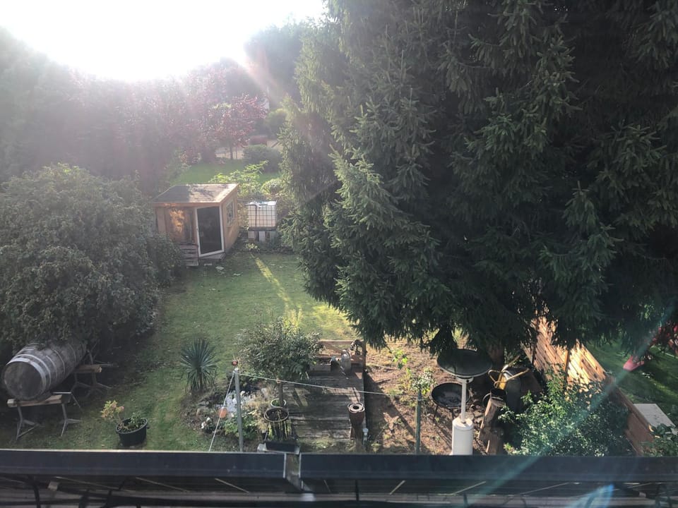Garden view