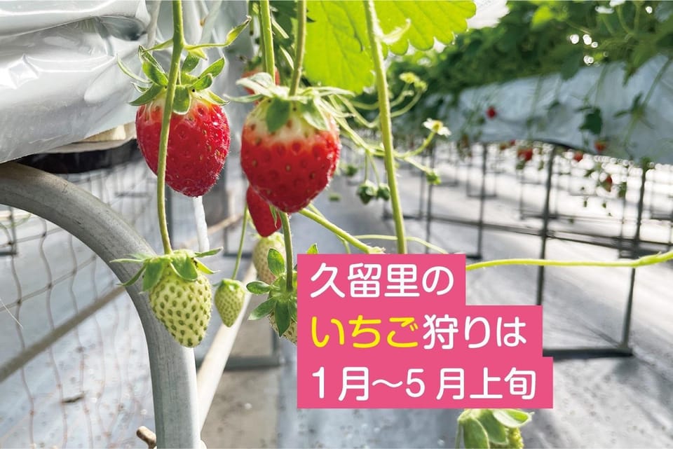 Rental villa, Otomi's house - Vacation STAY 11993 House in Chiba Prefecture
