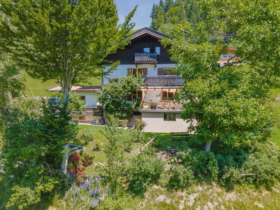 Property building, Summer