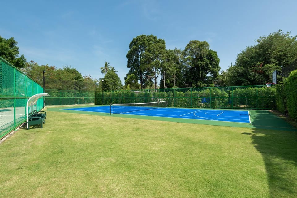 Day, Activities, Seating area, Tennis court, Sports