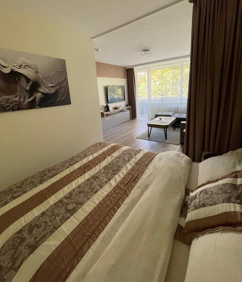 Alintoma Holiday apartment Apartment in Palanga