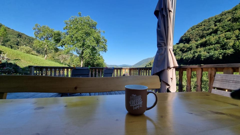 Garden, Mountain view