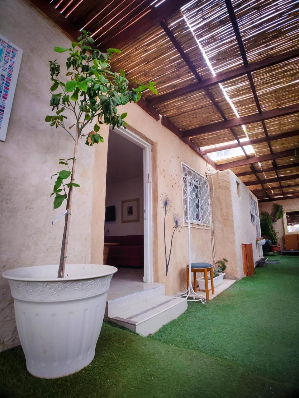 Patio, Garden, Inner courtyard view