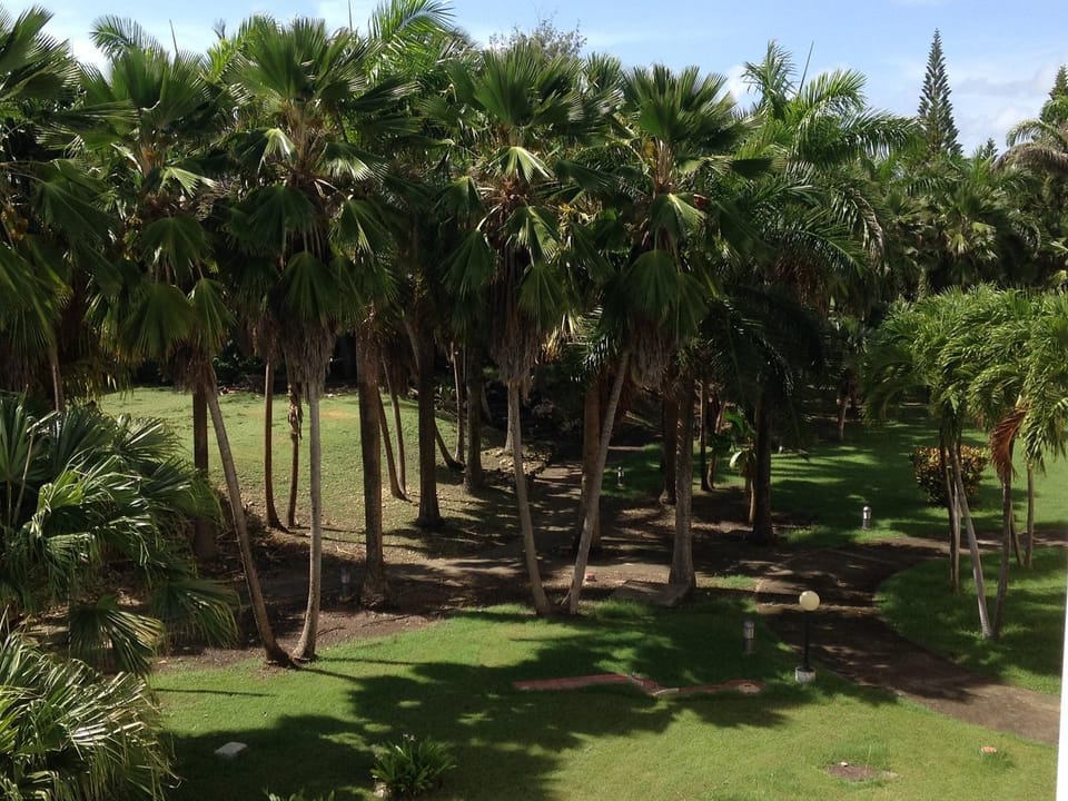 Garden view