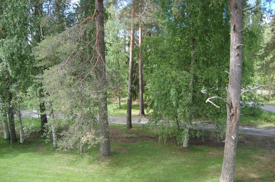 Natural landscape, Garden