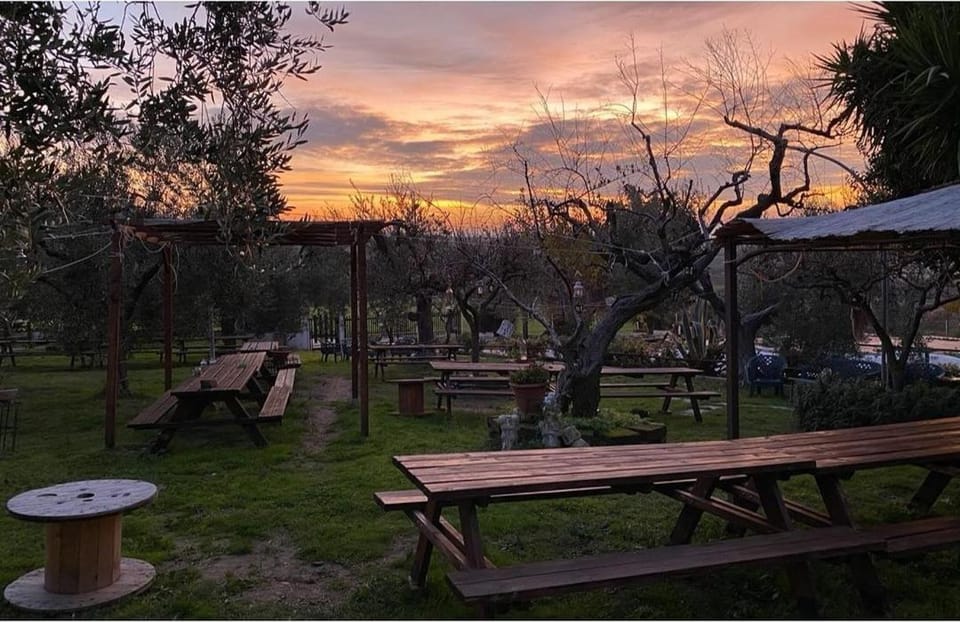 Children play ground, Garden, Sunset