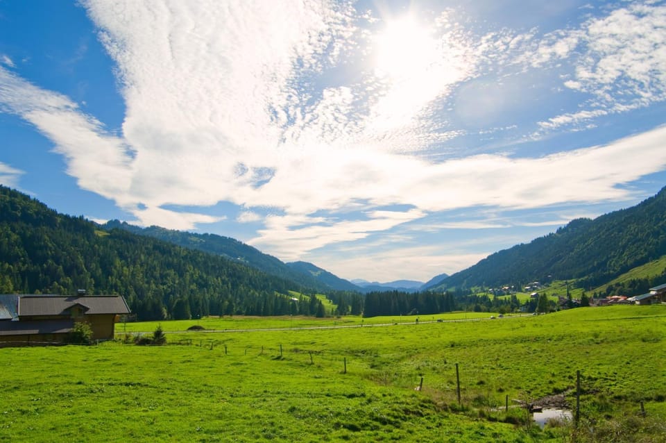 Natural landscape