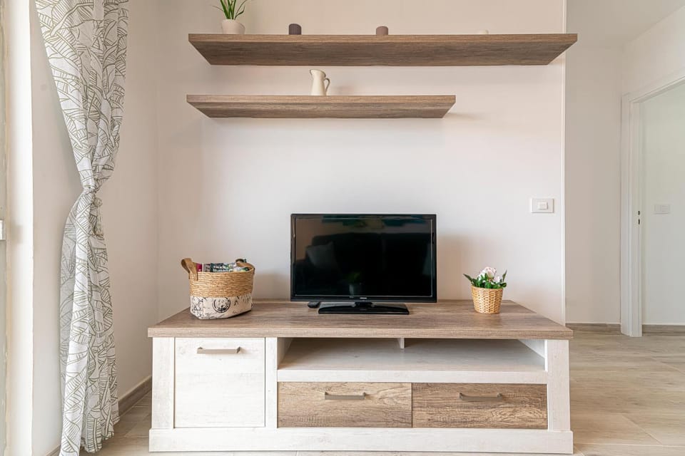 TV and multimedia