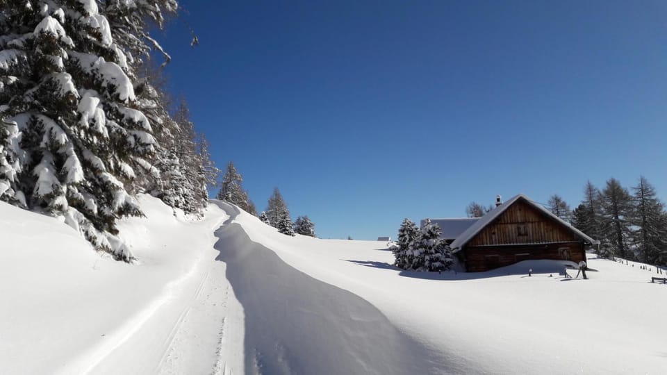 Pfeifferhof Farm Stay in Salzburgerland