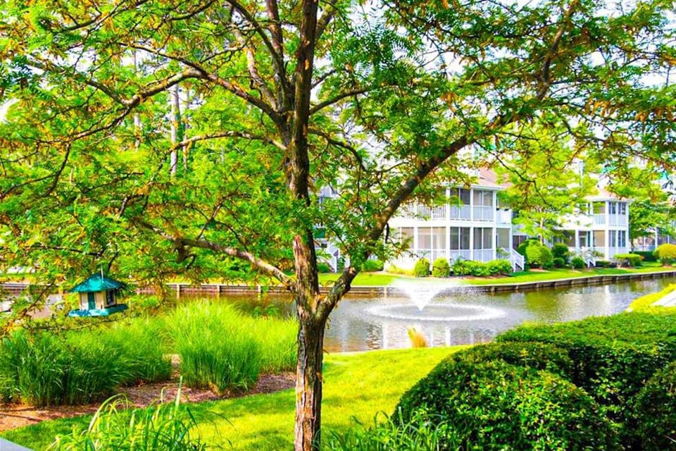 Sea Colony -- 13008 Tall Pines House in Sussex County